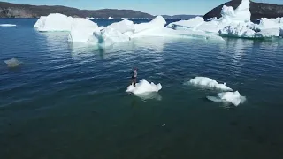 Fly Fishing Arctic Char In Greenland