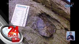 Umano'y fossil ng trilobite o nilalang na nabuhay mahigit 500 million years ang... | 24 Oras