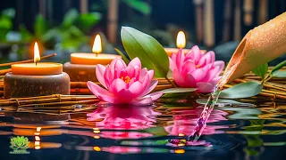 Music to Relax the Mind + Yoga, Sleep + Music for Meditation, Relaxing Sleep Music, Zen,Water Sounds