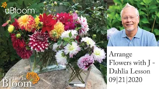 Dahlia Lesson- Flower Arranging with J