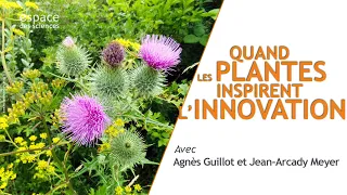 🌿 Quand les plantes inspirent l’innovation