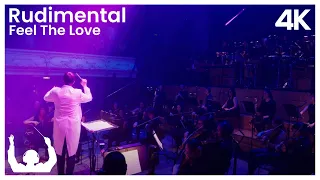 SYNTHONY - Rudimental 'Feel The Love' (Live) ProShot 4K