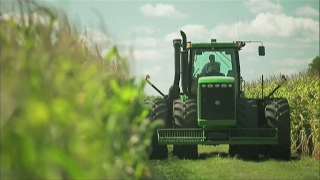 Organic farming in France: Green is the new black