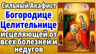 Акафист Пресвятой Богородице пред иконой Целительница
