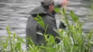 Fly Fishing in the Mt. Rainier Area