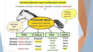 Prídavné mená - Slovné druhy - Žabkoškola