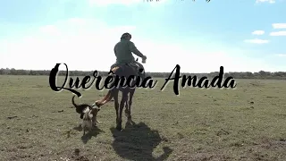 Querência Amada - Oswaldir e Carlos Magrão [Letra para ensaio]