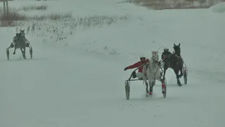 23.02.2020 г. 3-й заезд Приз журнала Коневодство и конный спорт