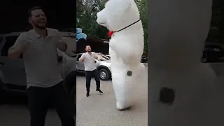 Именинник зажигал с медведем по полной! Поздравление от белого медведя