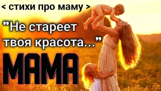 Стихи про маму. «Не стареет твоя красота…»