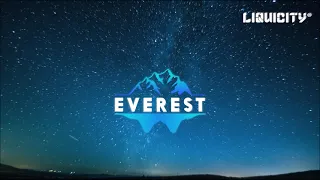 Liquicity Mix - The Start Of Something New (Mixed By Everest)