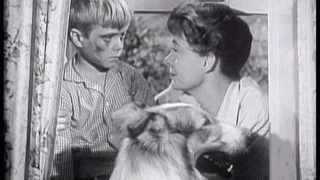 Lassie - Episode #188 - "Growing Pains" - Season 6 Ep. 6 - 10/11/1959