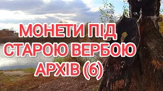 Монети під старою вербою. Архів(6)