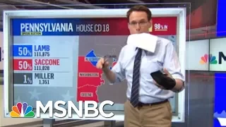 This Is A Golden Retrieval. | Steve Kornacki | MSNBC