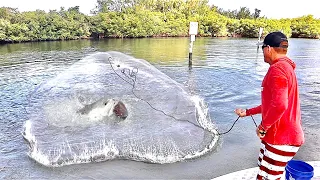 Once in a LIFETIME catch in a HUGE NET!! (CATCH CLEAN & COOK)