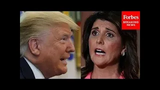 Trump Goes Off On 'Bird Brain' Nikki Haley And 'DeSanctimonious' In Biting Remarks