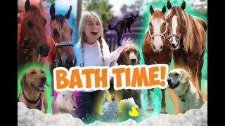 Giving ALL MY PETS A BATH in One Video!