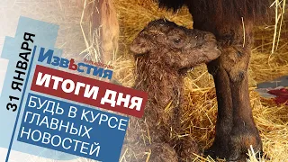 Харьковские известия Харькова | Итоги дня 31.01.2022