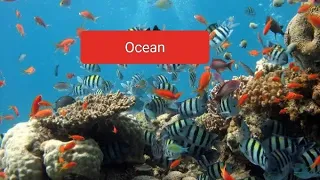 Ocean  - Science around us