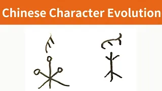 The Evolution of Chinese character | 採