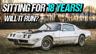 Rescuing An ABANDONED 1981 Trans Am! Will It Run and Drive After 18 Years?