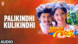 Palikindhi Kulikindhi Song | Garagatta Gopaiah | Ambarish,Shashi K,Malashri | Ilaiyaraaja | Rajasri