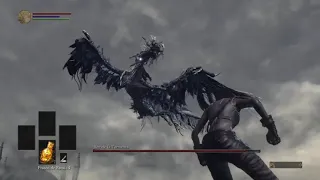 Nameless King - SL1 Fists Only - No Rings - No Damage (Segmented)