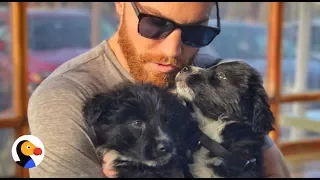 Guy Finds Puppies on Desert Road Trip | Dodo Hero