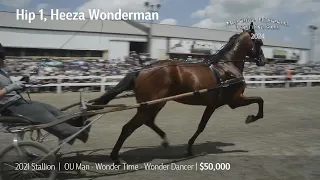 Hip 1, HeezaWonderman | 2024 Mid Ohio Memorial Trotting Sale