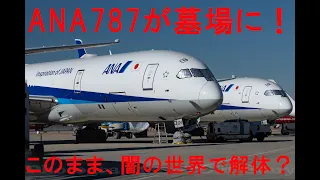 アメリカ旅行  　飛行機の墓場　ＡＮＡ７８７　解体待ち？