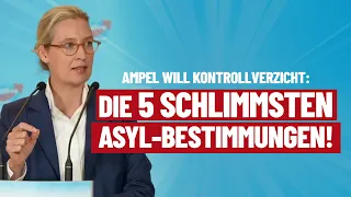 Die 5 schlimmsten Asyl-Bestimmungen der Ampel! - Alice Weidel - AfD