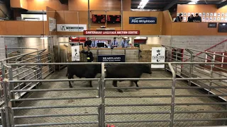 2021 Heartland Bank Young Auctioneers Competition