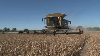 Claas Lexion 580 R CAT harvesting soybean in California