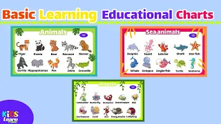 Wild animals | Sea animals | insects | Learn Educational Charts for Basic Learning for Preschool