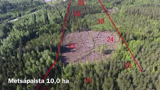 Kasikulman 10,0 ha metsäpalsta