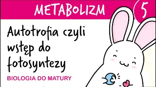 Metabolizm 5 - Autotrofia, czyli wstęp do fotosyntezy - biologia do matury liceum poziom rozszerzony