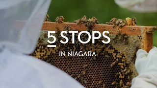 Niagara: Bees, Cheese, and Brewing Expertise | 5 Stops – Episode 2 | LCBO