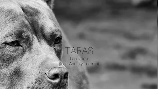 TARAS, Andery Toronto - Газ в пол