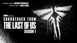 Gustavo Santaolalla, Juan Luqui - Haven, from “The Last of Us” an HBO Original Series