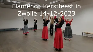 Solea - Flamenco beginnersgroep uit Zwolle