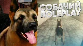 🐶 ИГРАЮ РОЛЕПЛЕЙ ЗА СОБАКУ В ГЕТТО GTA SAMP Trinity RP