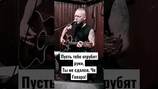 Даин - Команданте- Константин Сёмин - Джанни Родари cover #чегевара #guitar #rock #music #cheguevara