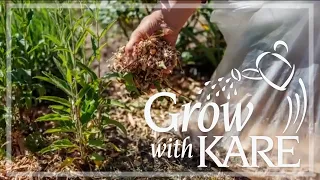 Grow with KARE | Dealing with weird winter weather