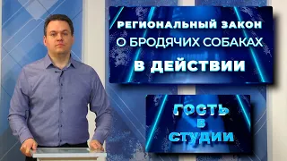 Гость в студии  Региональный закон о бродячих собаках в действии (10.04.2024)