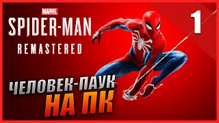 Marvel's Spider-Man Remastered Прохождение [4K] Часть 1 - Человек-Паук на ПК / Захват Фиска