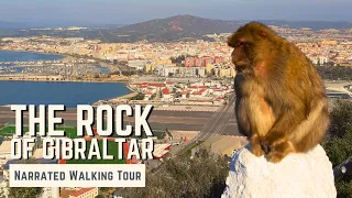 The Upper Rock, Gibraltar | 4K Narrated Walking Tour | Let's Walk 2023