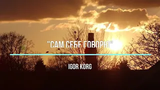 "Сам себе я говорю"_ Igor Korg _ (Korg PA900)