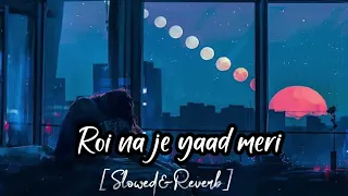 Roi na je yaad meri ayi ve @Mr____lofi_____ ||Roi na je yaad meri ayi ve slowed and reverb||