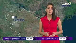 Новости на Своём от 29 октября 2020 г. 15:30