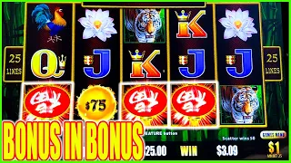 I Did Not Give Up Till We Got What We Wanted! Panda Magic Million Dollar Dragon Link Slot